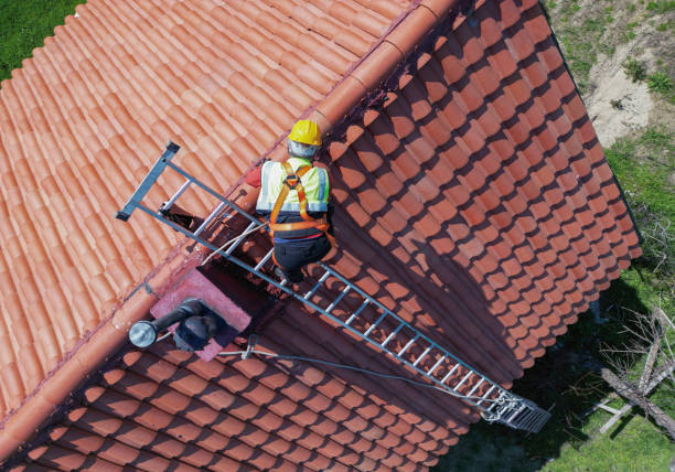 Best Roof Maintenance and Cleaning  in Valley Springs, CA